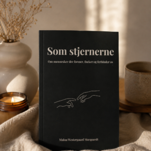 Som stjernerne - Læseprøve